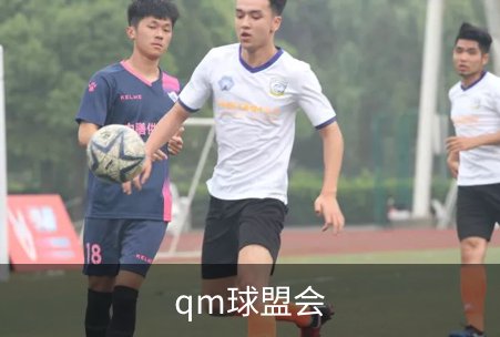 了解qm球盟会